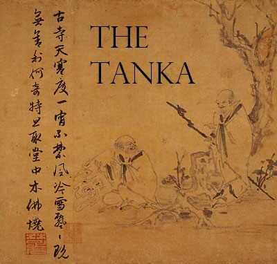 Week Seventeen: The Tanka – Astra Poetica